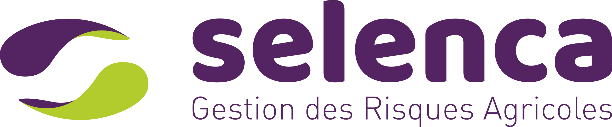 Logo Selenca